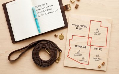 How Much Should You Really Pay for a Dog Walker in Your Area? (Arizona & Utah Pricing Guide)