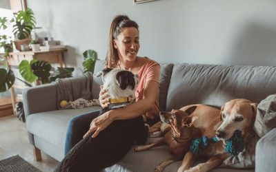 5 Signs You’ve Found a Trusted Pet Sitter (AZ & UT Guide)
